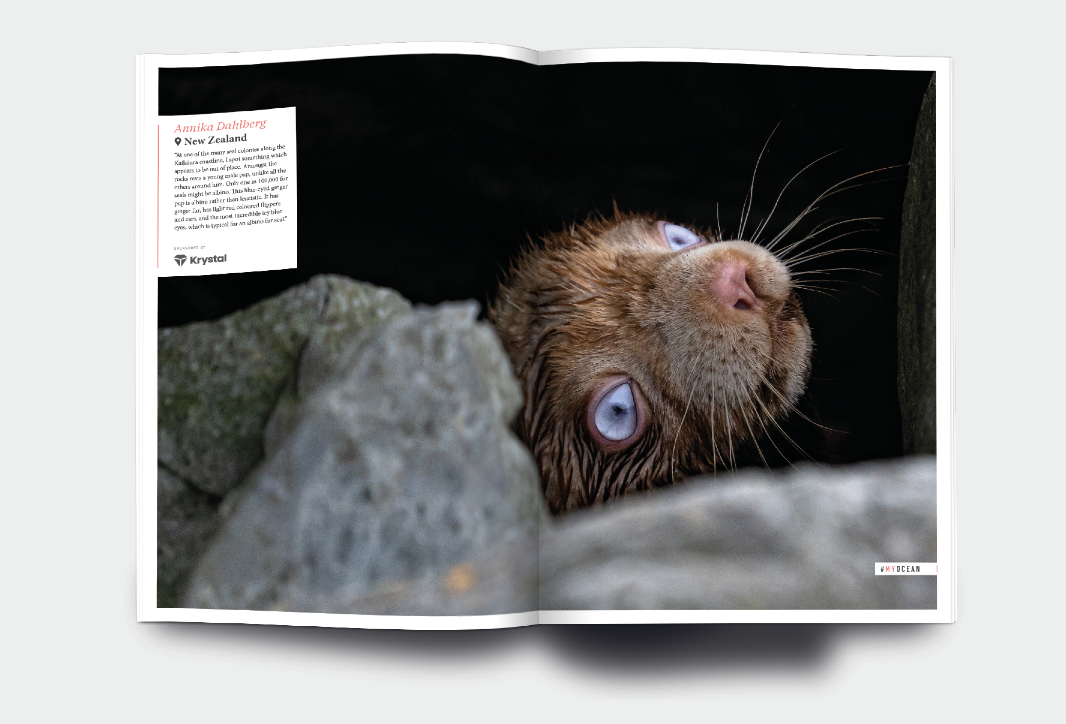 OM_website_ISSUE44_1