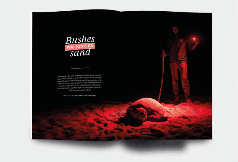 OM_website_ISSUE44_3